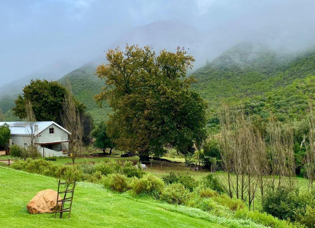 Pat Busch Mountain Reserve ロバートソン エクステリア 写真