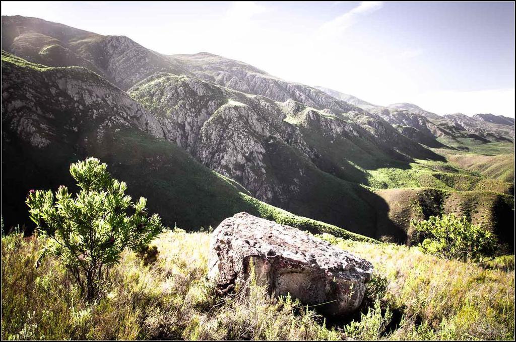 Pat Busch Mountain Reserve ロバートソン エクステリア 写真
