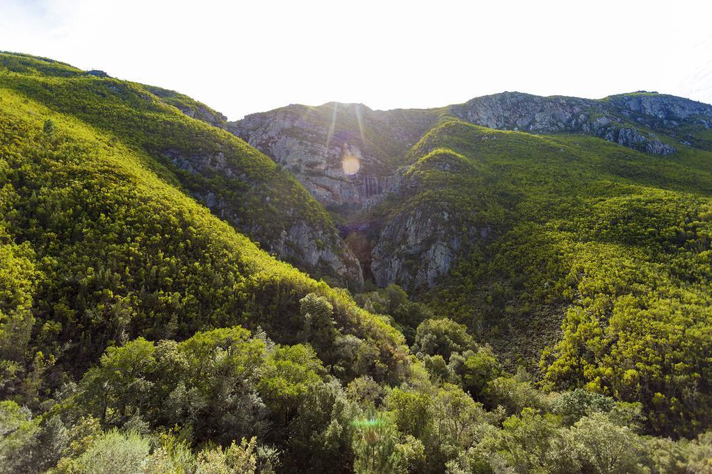 Pat Busch Mountain Reserve ロバートソン エクステリア 写真