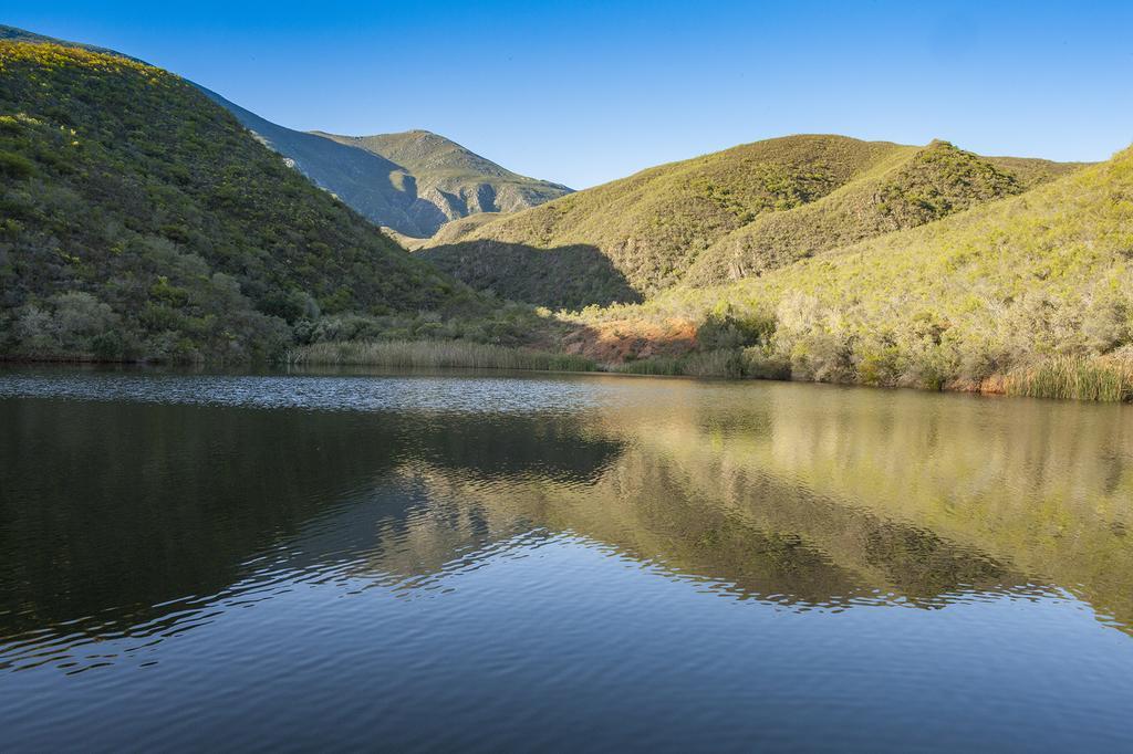 Pat Busch Mountain Reserve ロバートソン エクステリア 写真