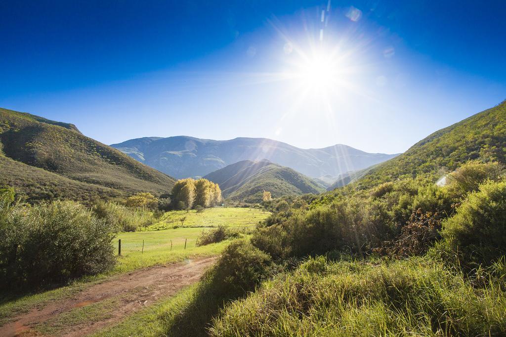 Pat Busch Mountain Reserve ロバートソン エクステリア 写真