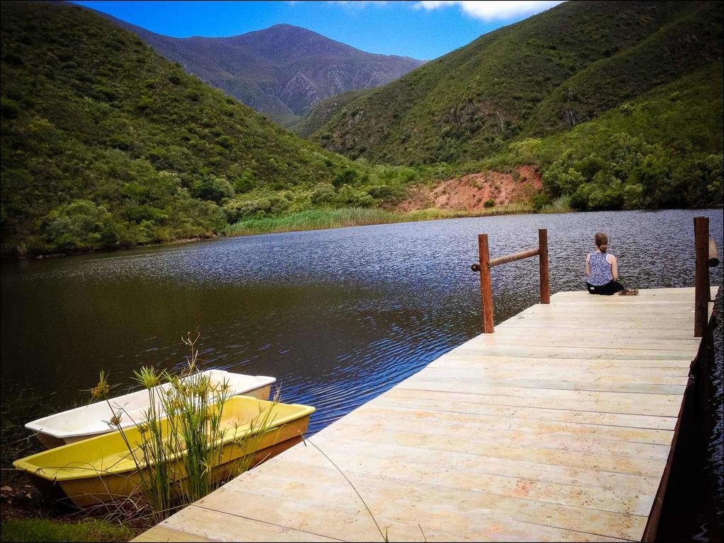 Pat Busch Mountain Reserve ロバートソン エクステリア 写真